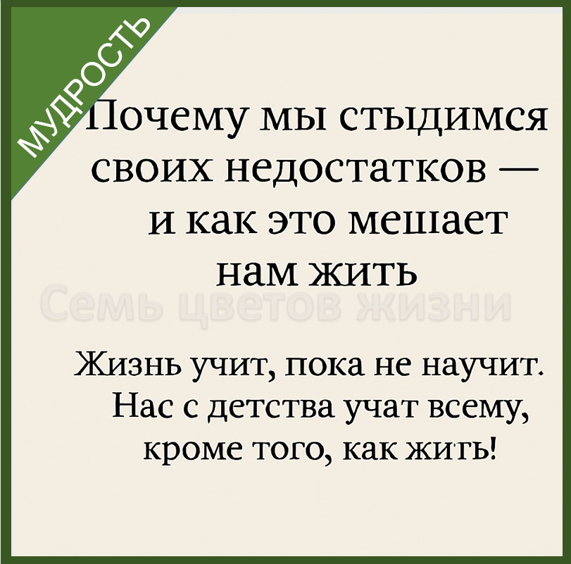Канал "СЕМЬ ЦВЕТОВ ЖИЗНИ" — это не только притчи. Это пространство, где раскрываются разные цвета жизни: от мудрости и здоровья до природы, дома, внутренней гармонии и простых радостей