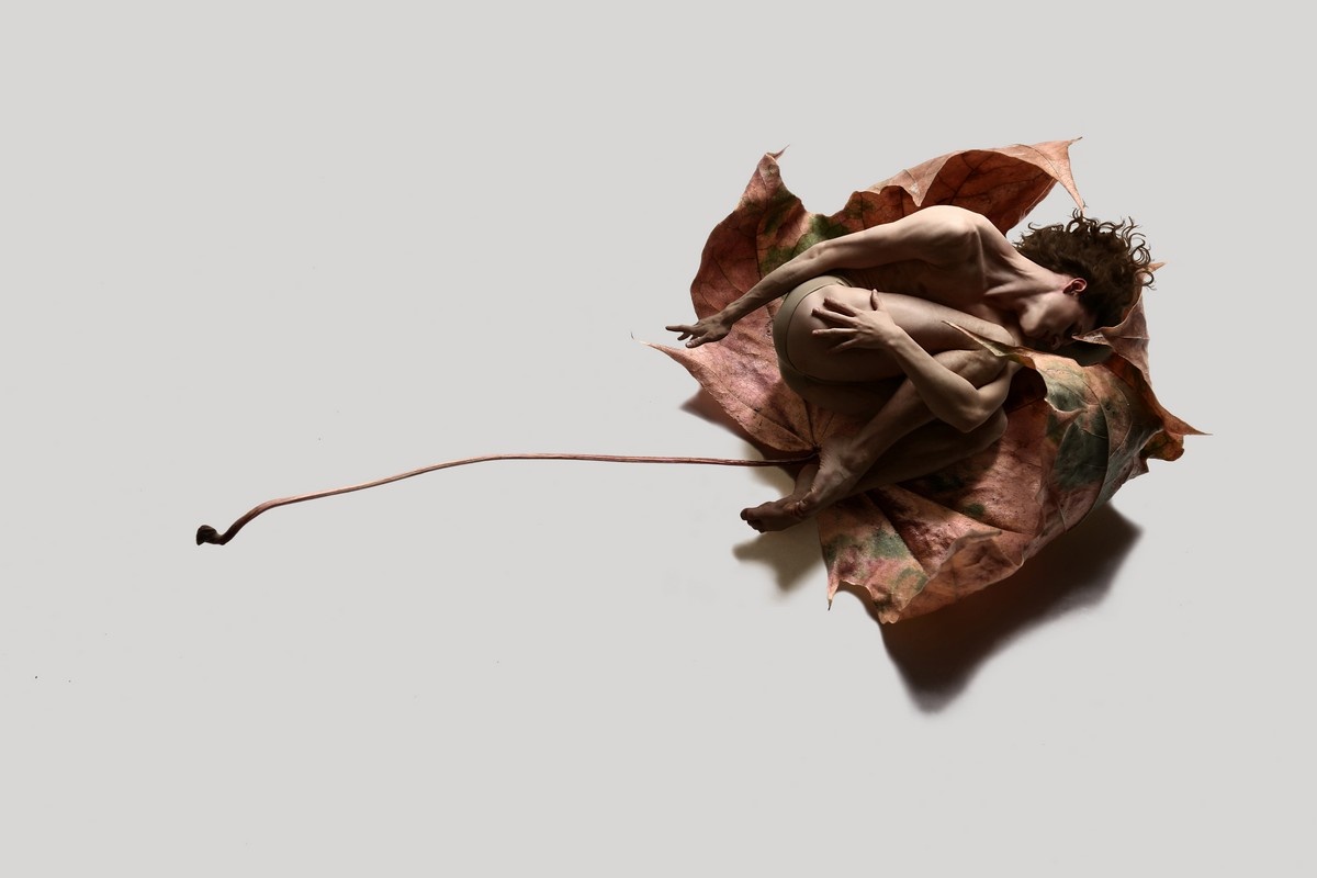 Из серии Herbarium