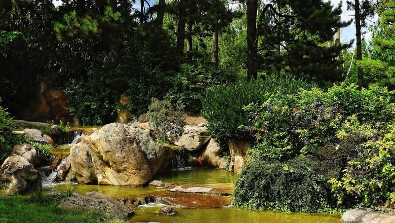 Источник: Freepik