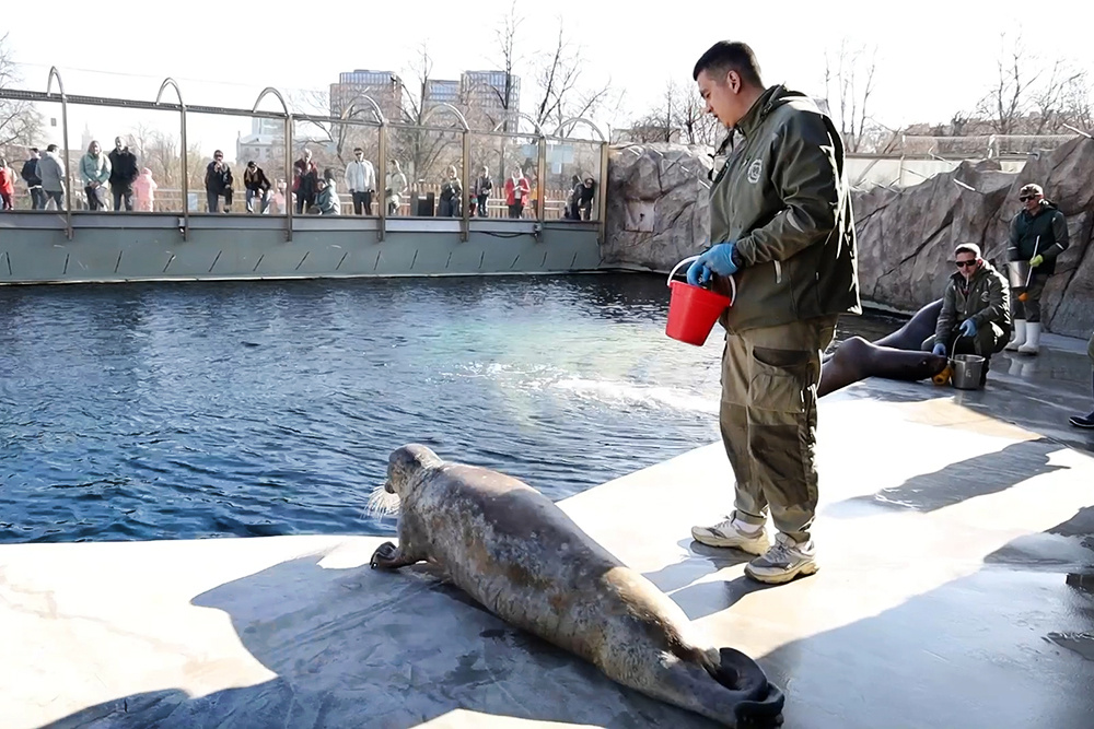    ©Пресс-служба Московского зоопарка