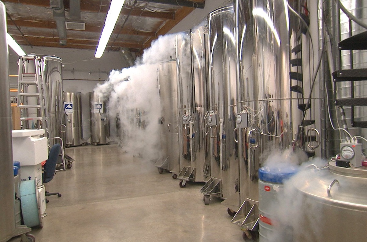    Русские криосклады хранение данных при -196°C это будущее или уже реальность