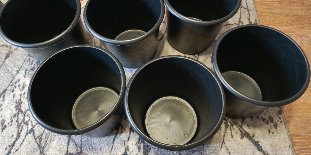 Запах вёдер разочаровал