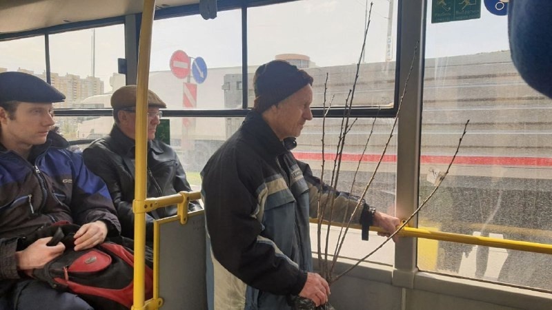 Желающих попасть на дачу стало больше