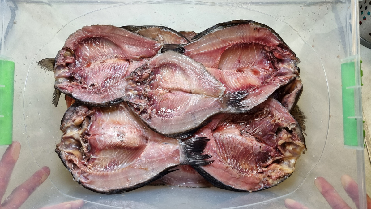 готовые к посолу тушки