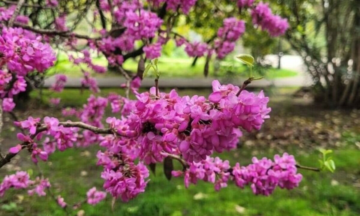    Фото t.me/rgo_krasnodar