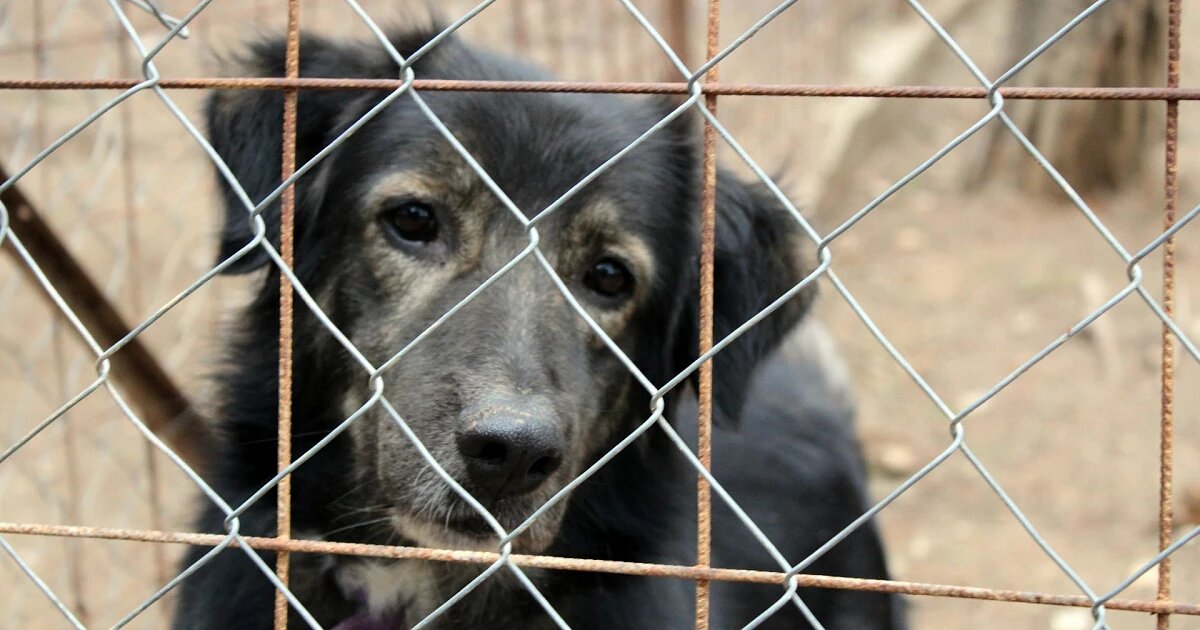 Фото: Margarita Kosior / Unsplash