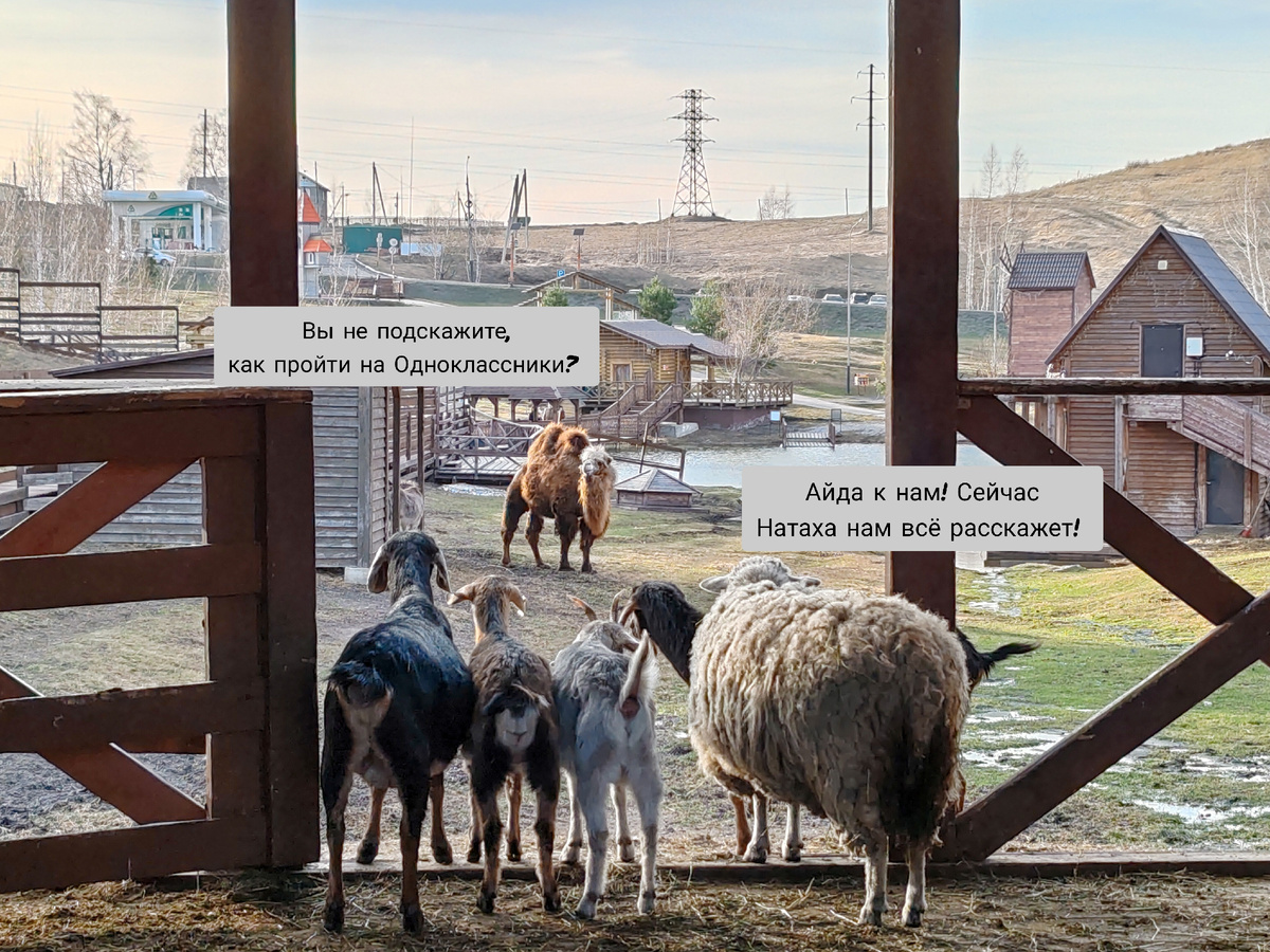 Фото автора.