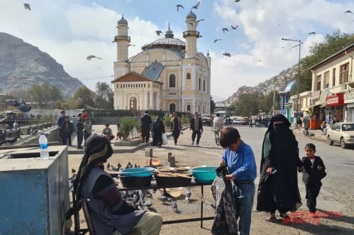    Верховный суд приостановил запрет деятельности движения «Талибан» в РФ