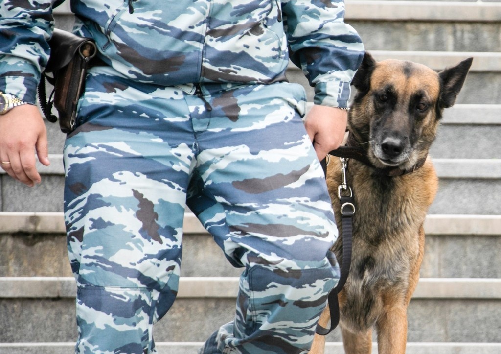    Фото: news.ru Георгий