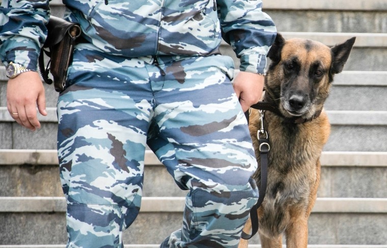    Сергей Петров/NEWS.ru