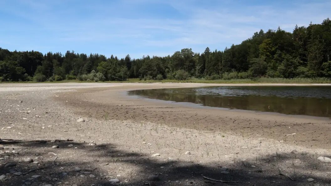    IMAGO/Ulrich Wagner/Globallookpress