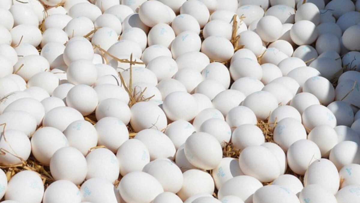     Источник: 1MI