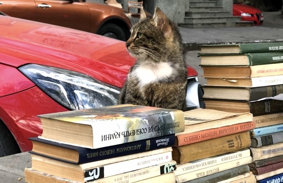 Этого уличного «продавца книг» я запечатлела в Тбилиси.
