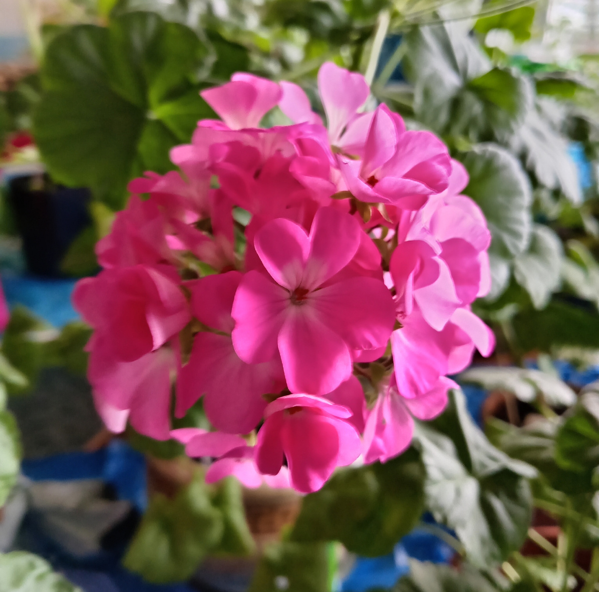 Фото из личного архива автора. 