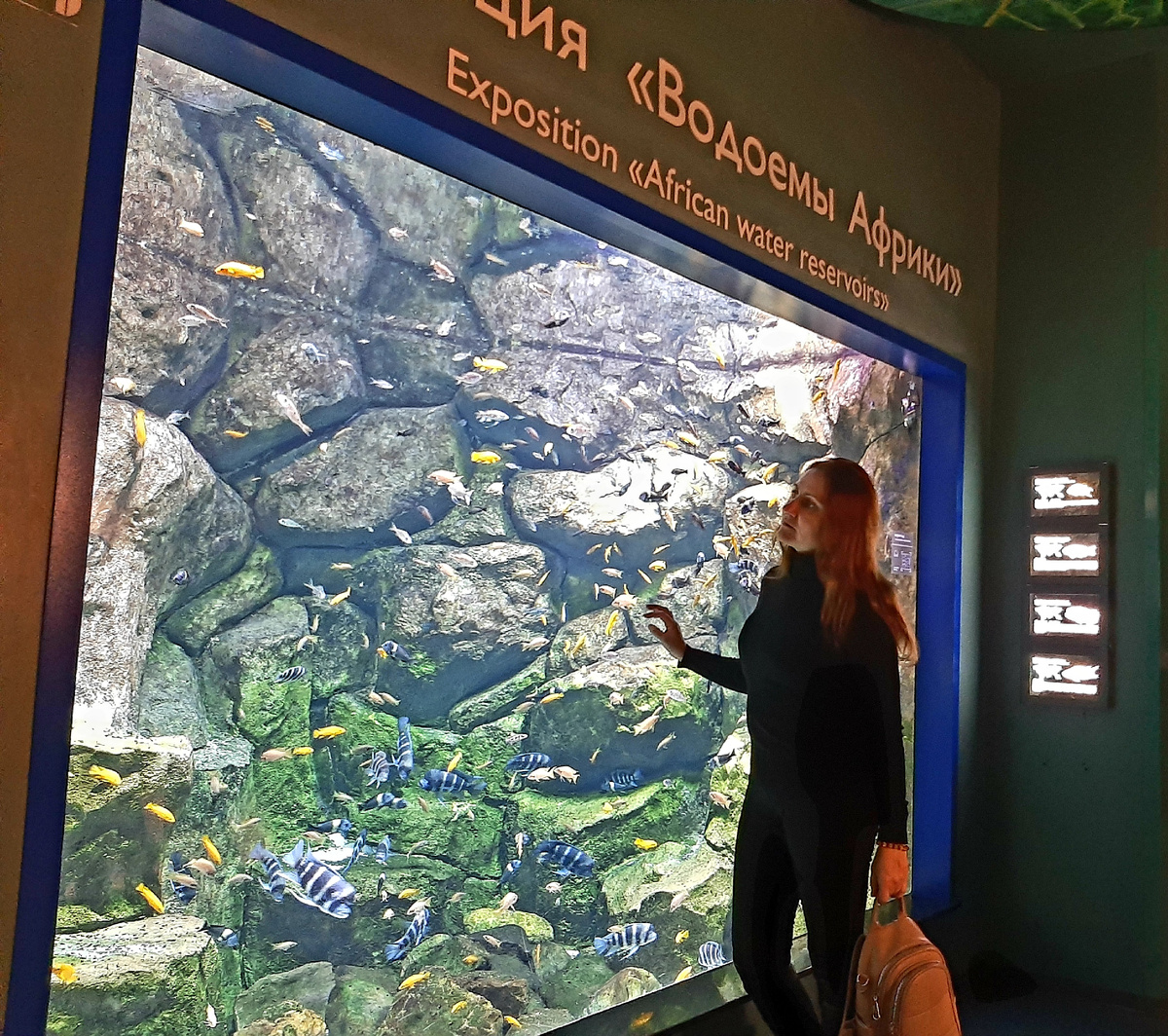 Москвариум на ВДНХ 