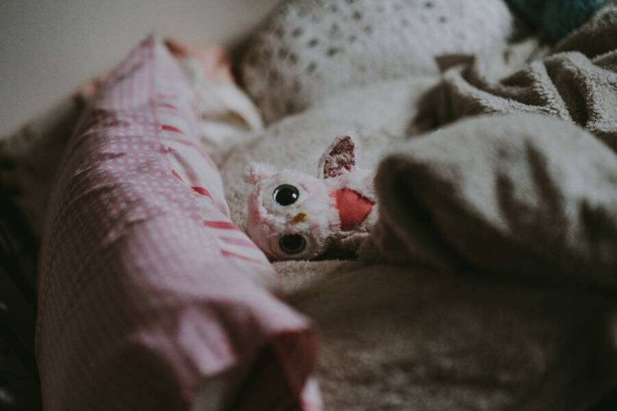 Фото: Annie Spratt / Unsplash.com