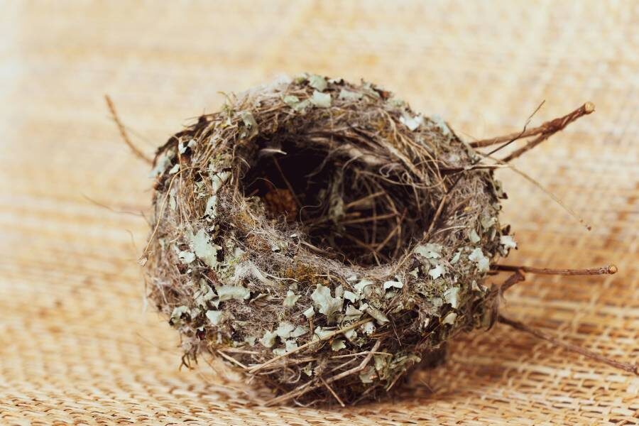 Фото: Sandy Millar / Unsplash.com