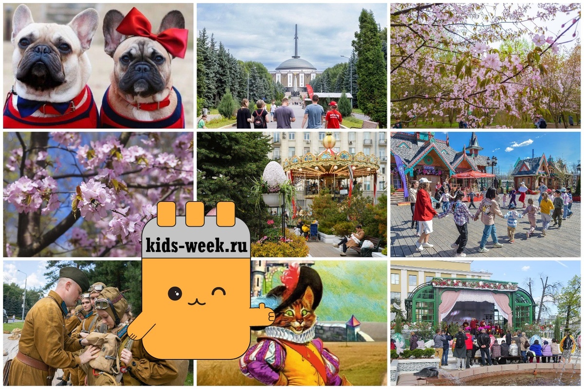 Куда сходить семьей с ребенком в Москве на выходных 26-27 февраля. Подборка kids-week.ru