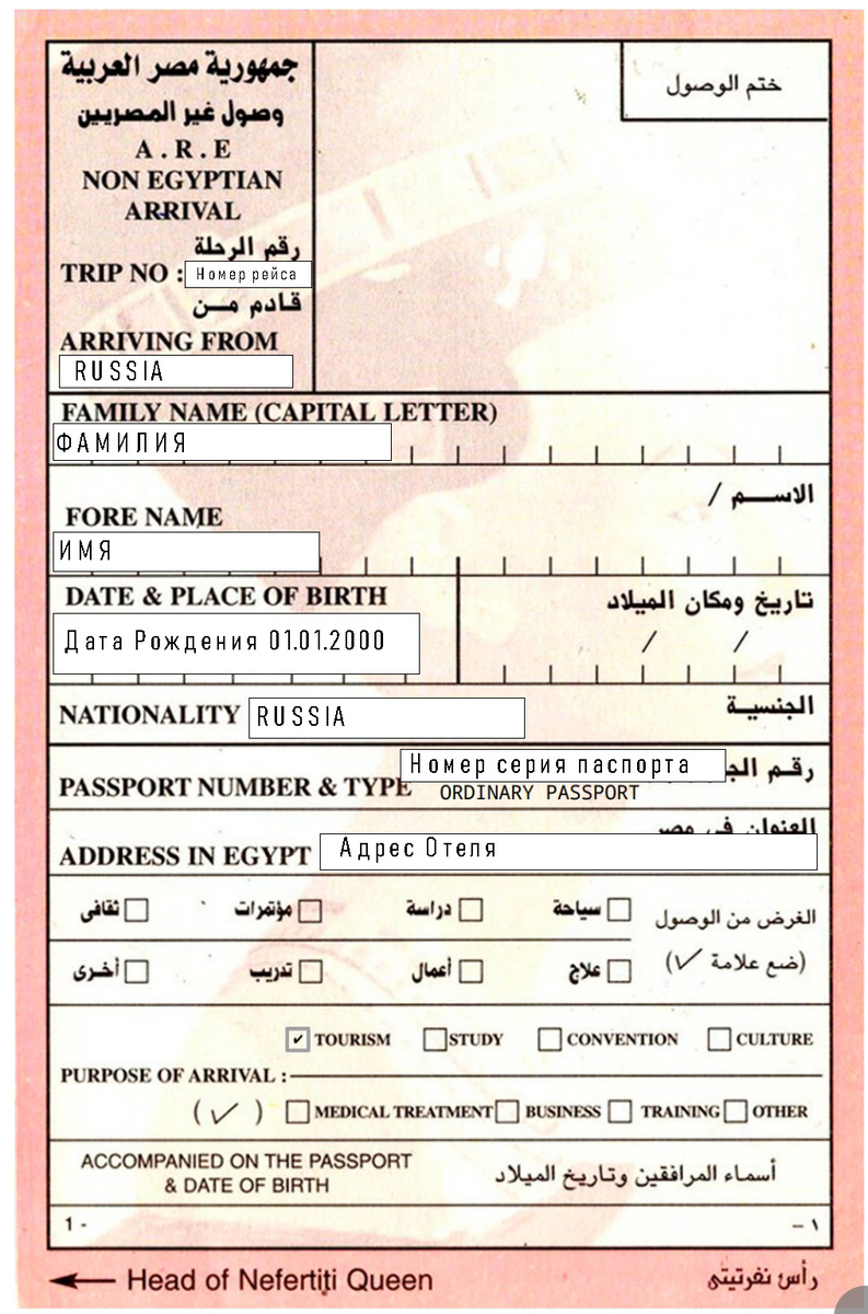 Как заполнить визу при въезде в Египет - Хургада.