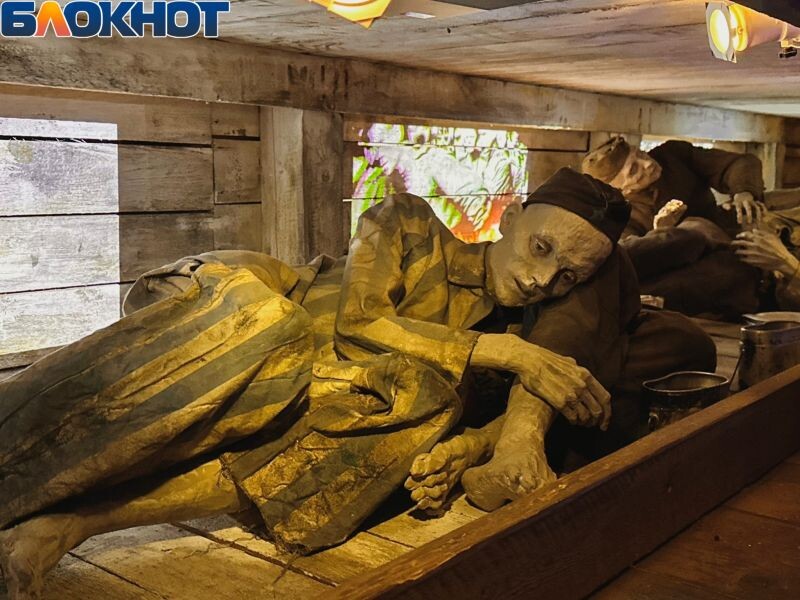 Листайте вправо, чтобы увидеть больше изображений