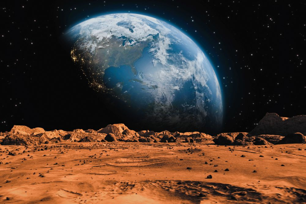 Фото из Яндекса. Спасибо автору. 