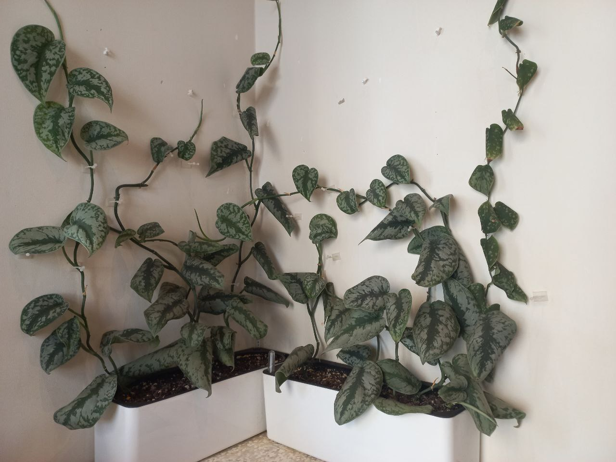 Фото автора.