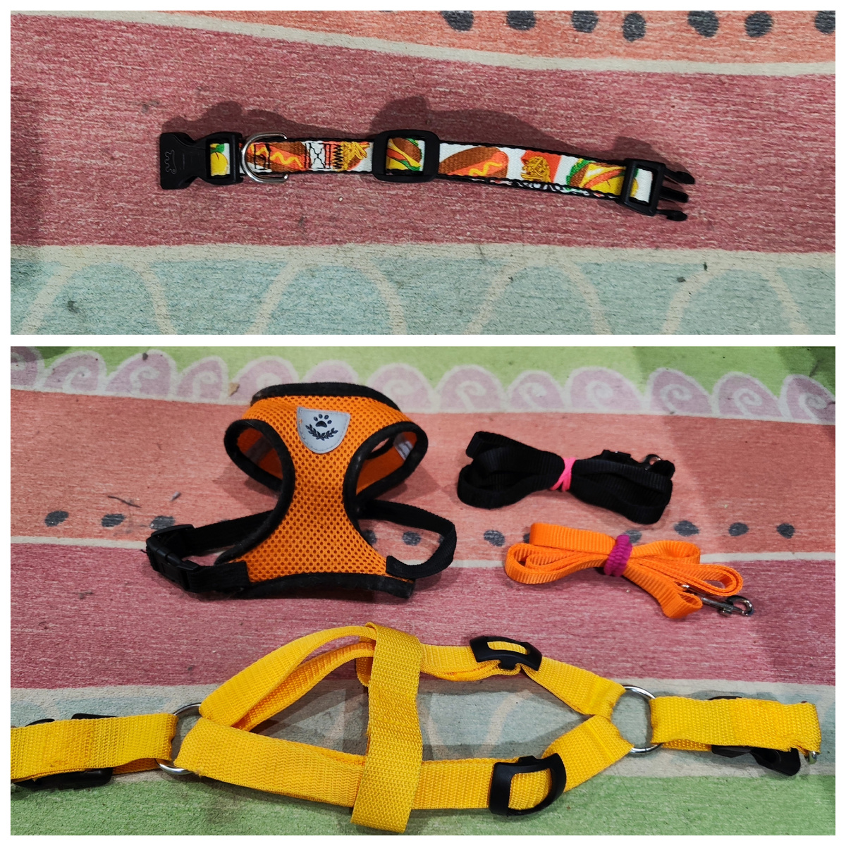 Примеры моих шлеек и ошейника, поводкам из комплекта не доверяю