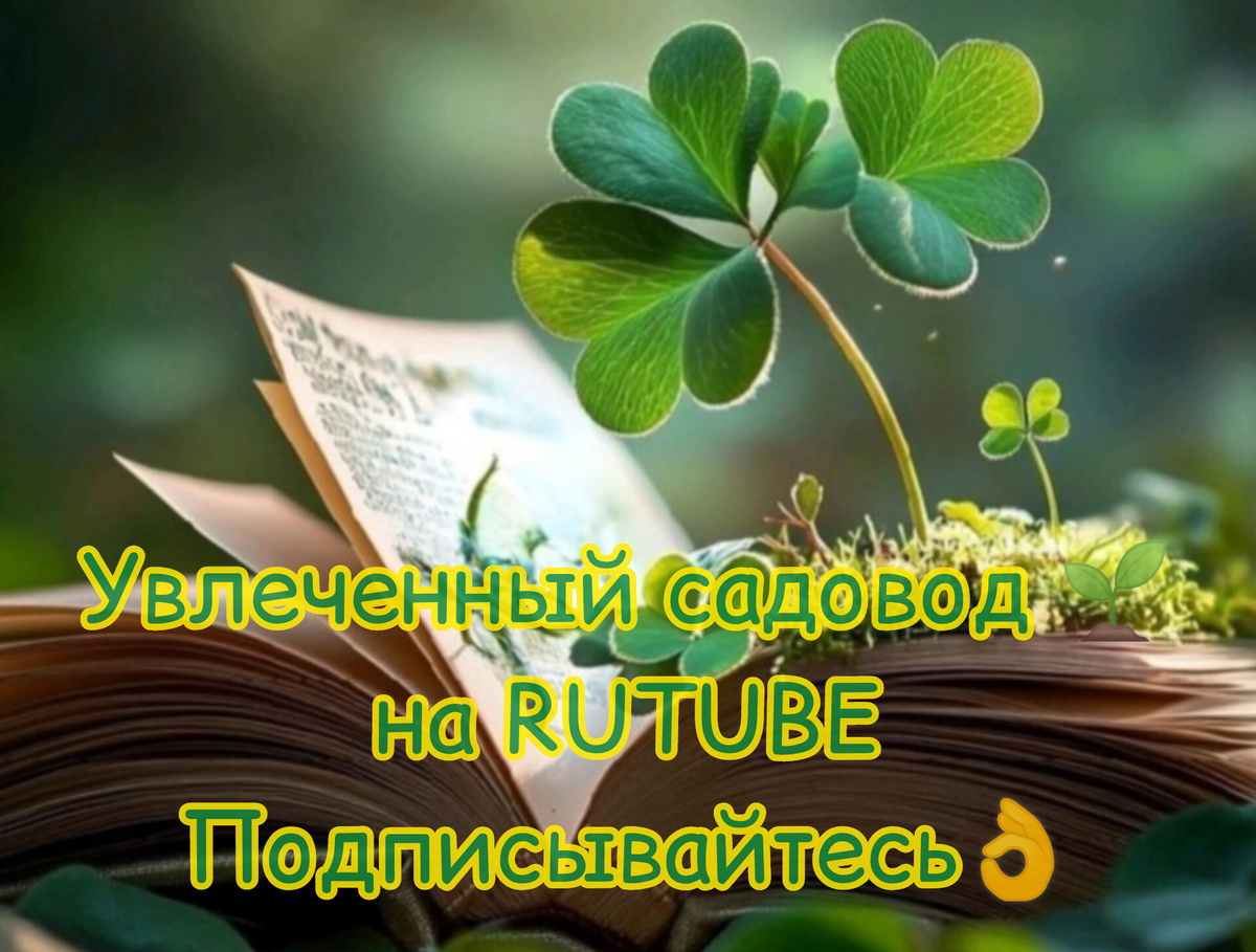 фотокартинка, слелано в загрузчике😉