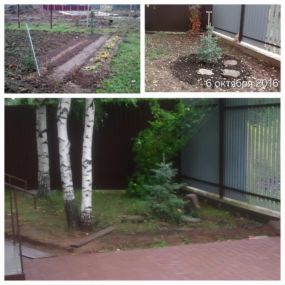 Верхнее фото - 2015.