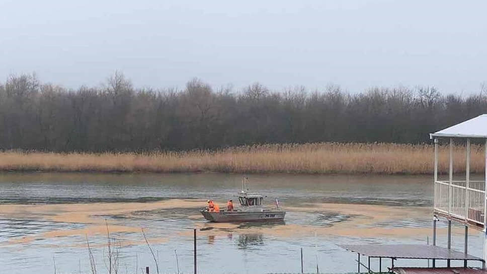 Фото: пресс-служба минприроды Ростовской области