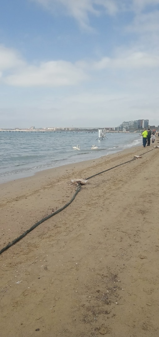 Сразу прилетела ответка с фотками