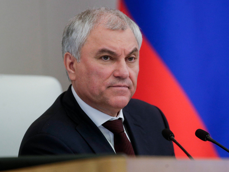 Фото: duma.gov.ru
