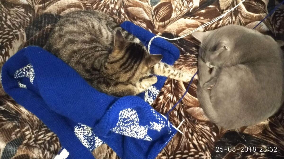 Работа над пледом Артур, дата на фото☺️