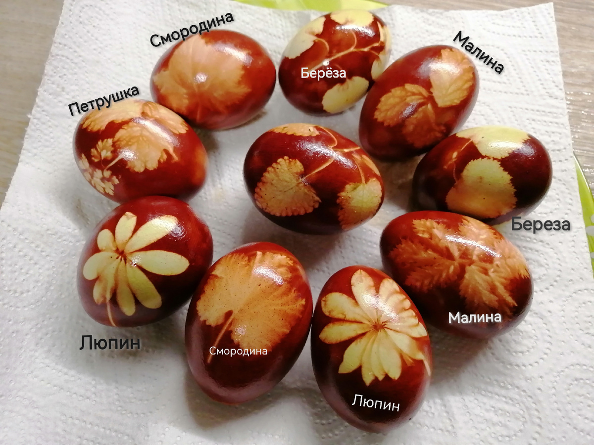 пример разных листочков