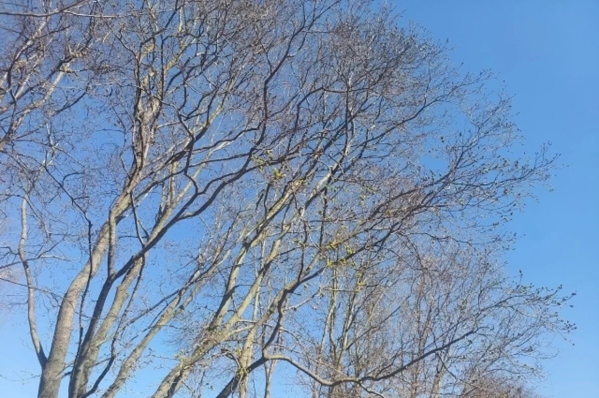    18 апреля в Туле ожидается облачная погода и до +24