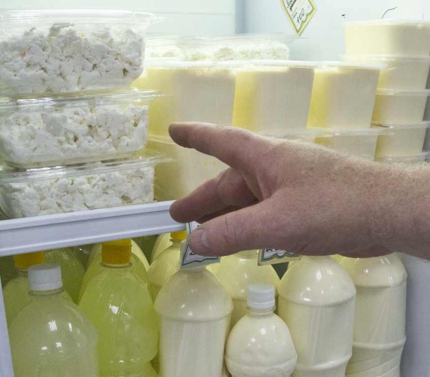    В одном из посёлков Советского района из-за антисанитарии закрыли молочный цех