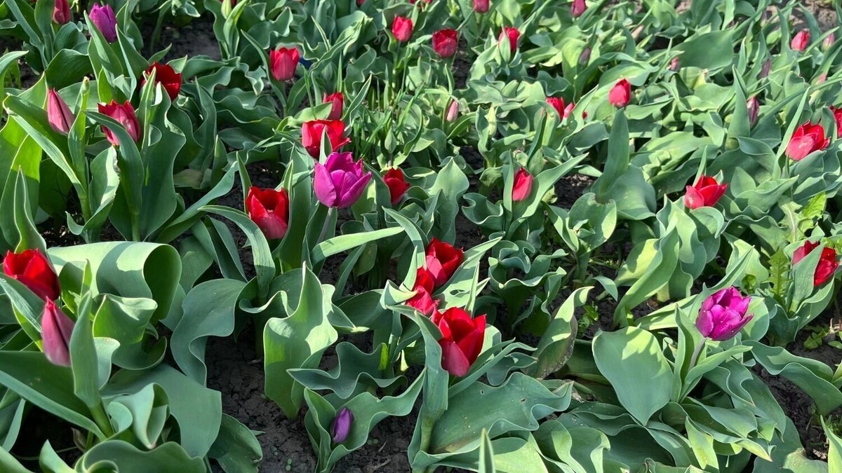     Автор: Алёна Мальцева Источник: bel.ru