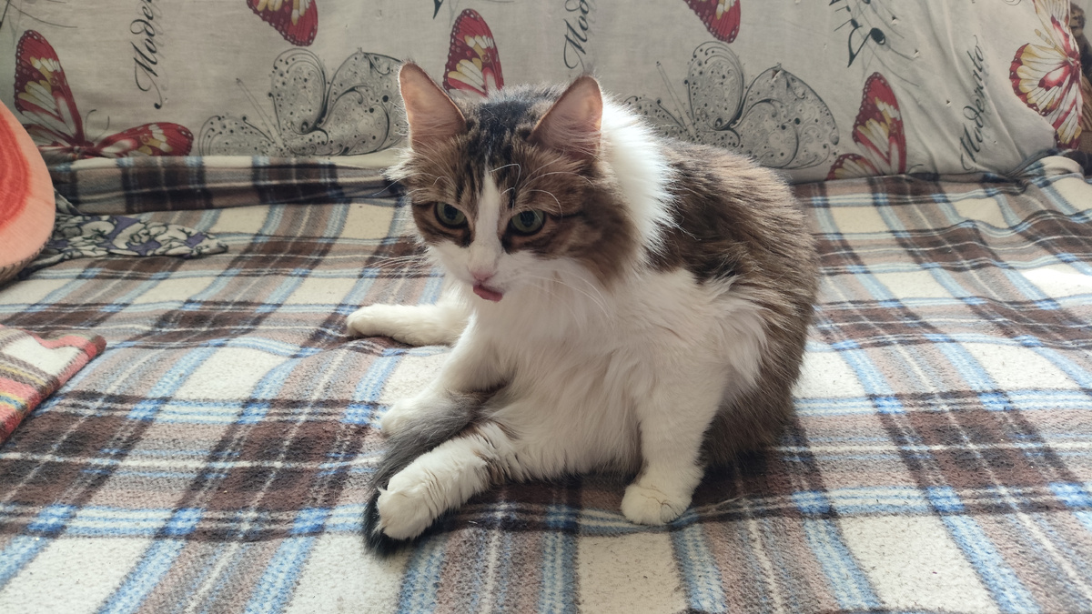 фото автора "Так... А чего я делала?"