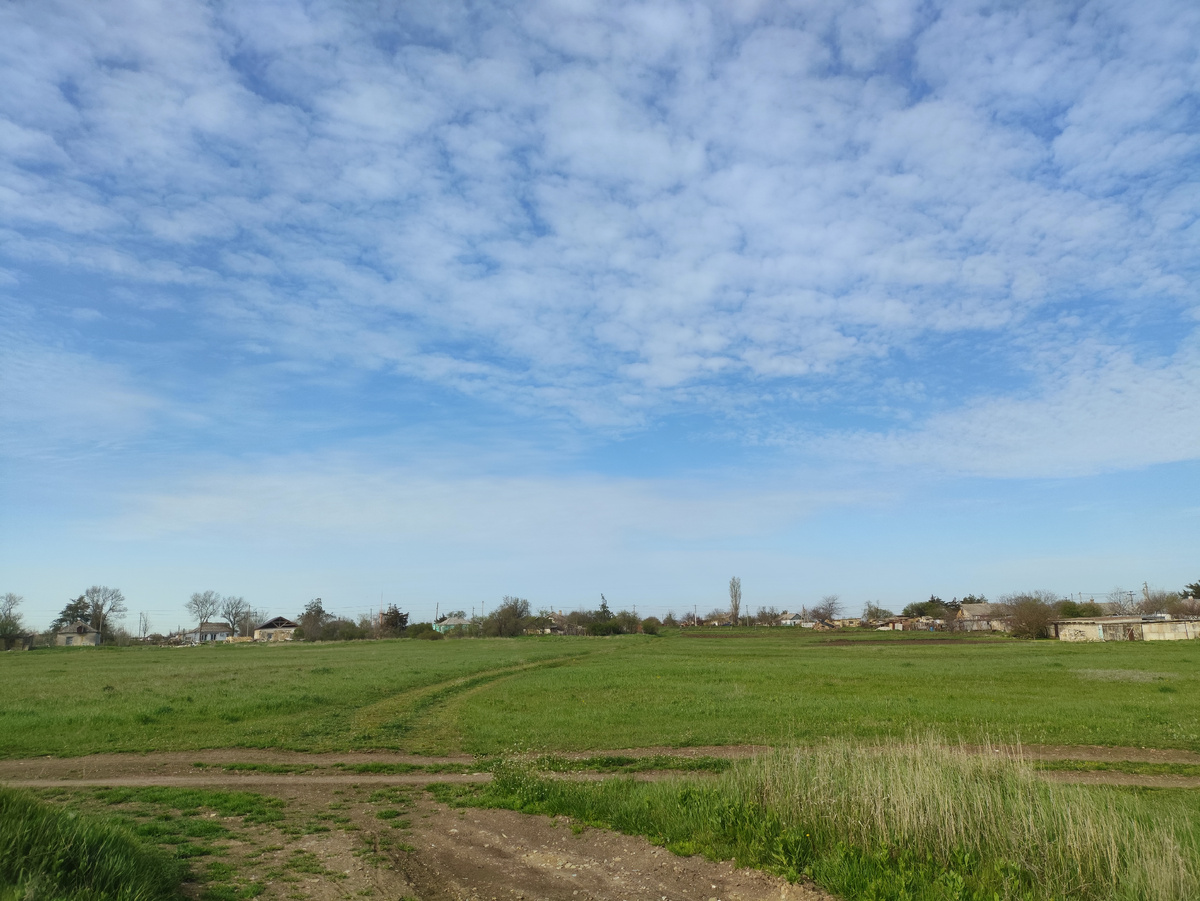 Это уже мое поле