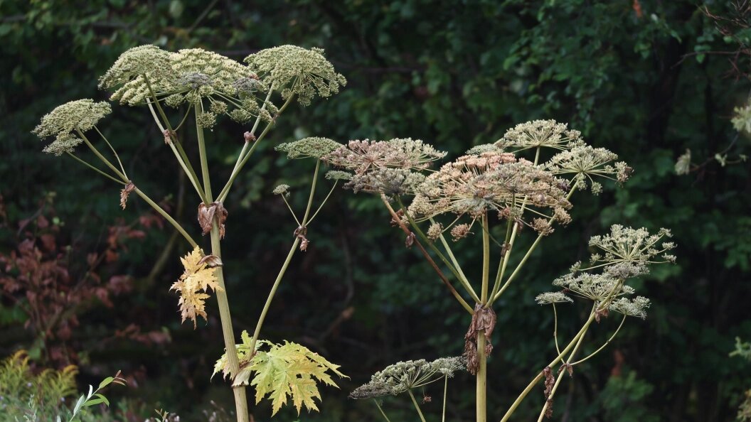    Фото: Petrov Sergey/news.ru/Globallookpress