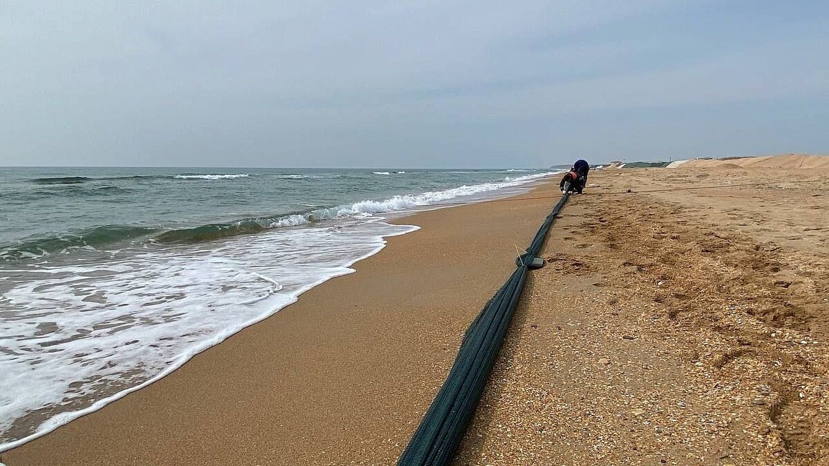    Фото: телеканал «Краснодар»