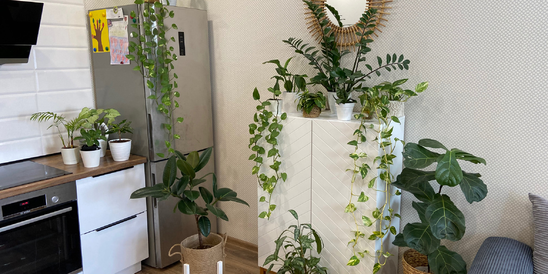 Занятие для бабки!