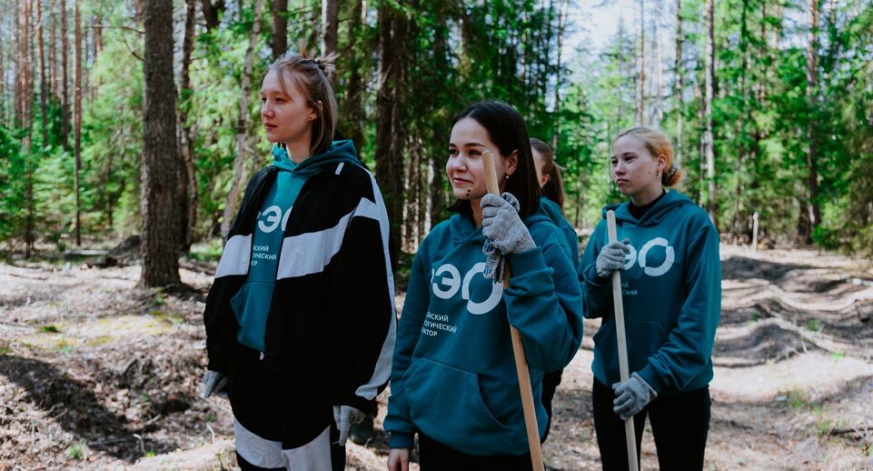    Медиасток.рф