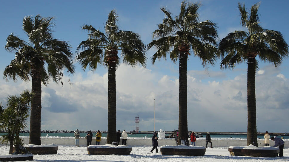 Фото: Юрий Самодуров / Коммерсантъ