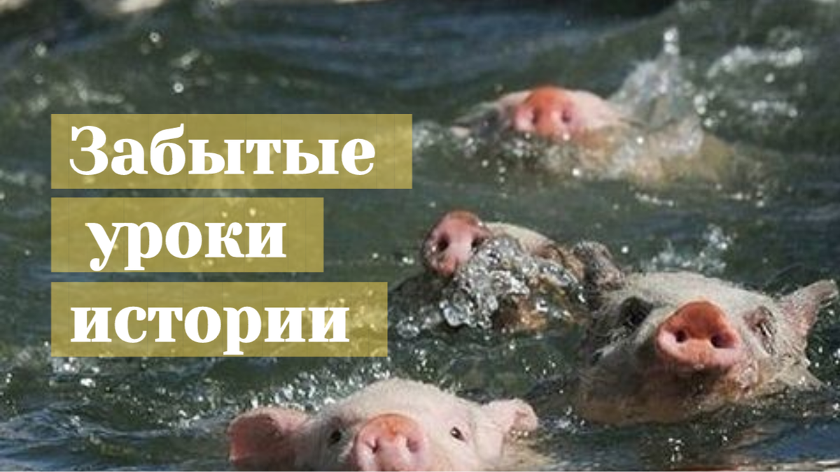Как русский орёл немецкую свинью плавать учил