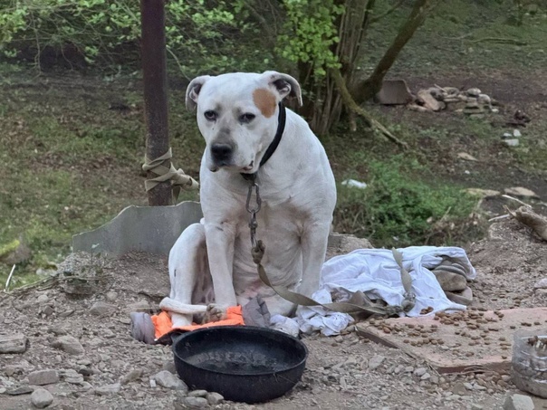 фото: vk.com/Новости Сочи 24  📷
