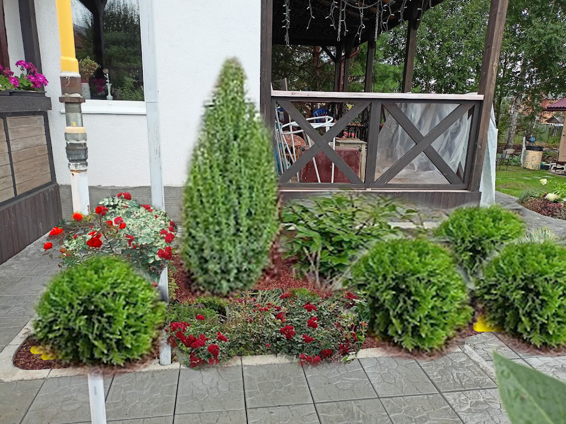 коллаж-проект