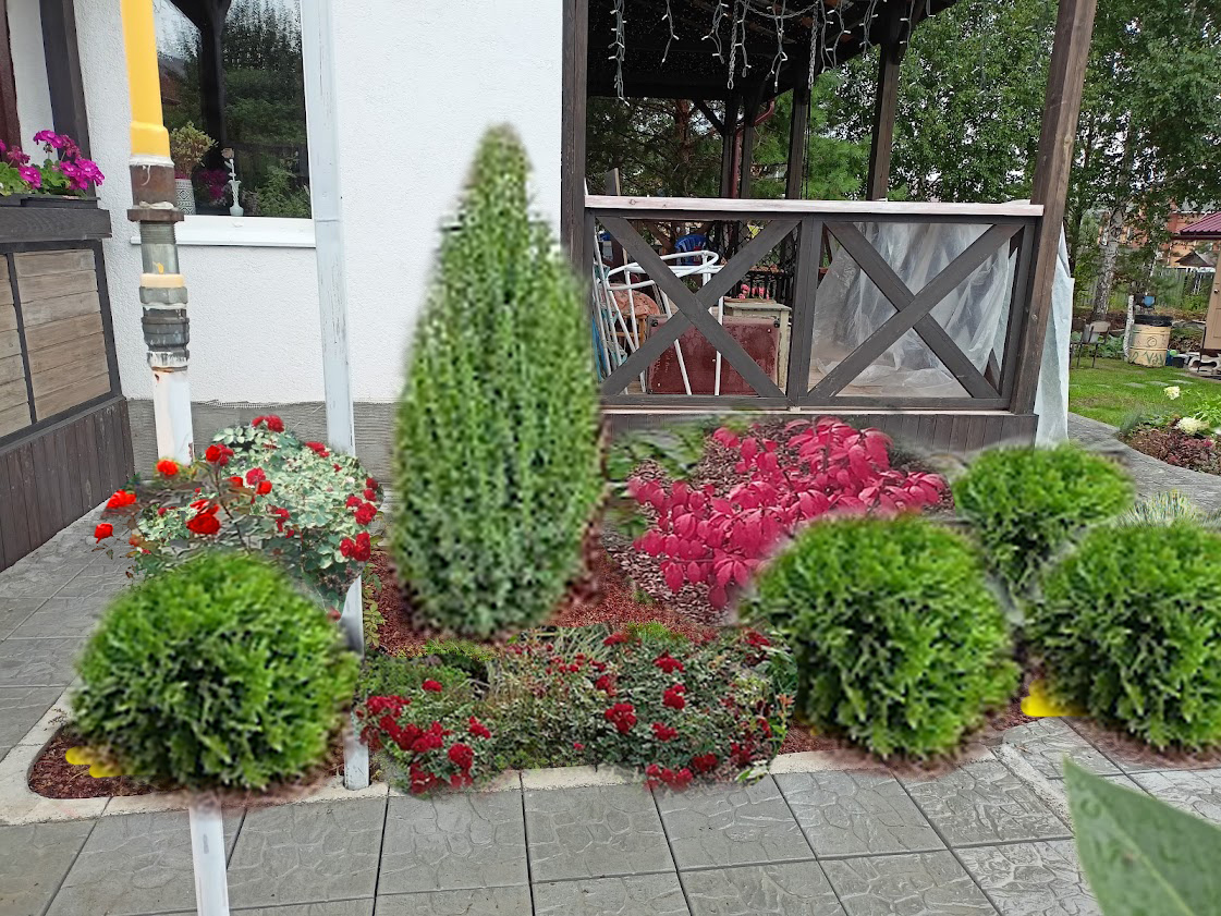 красный треугольник из роз и бересклета