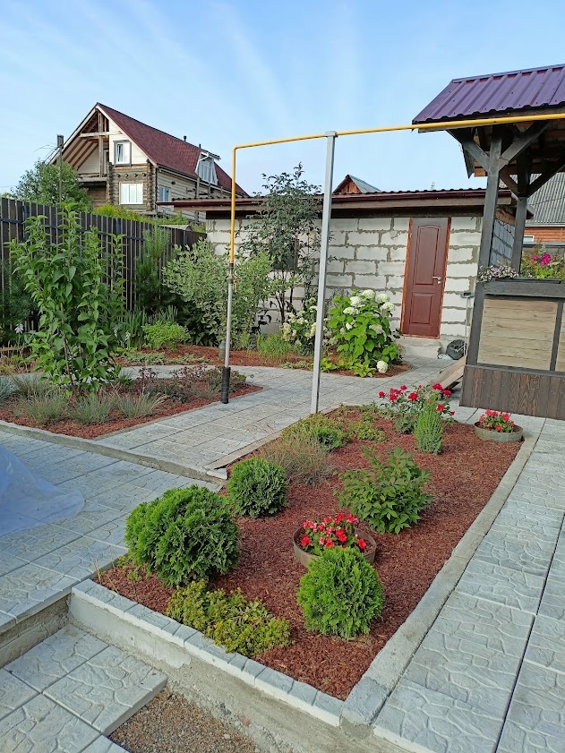 роза возле самого крыльца растет 