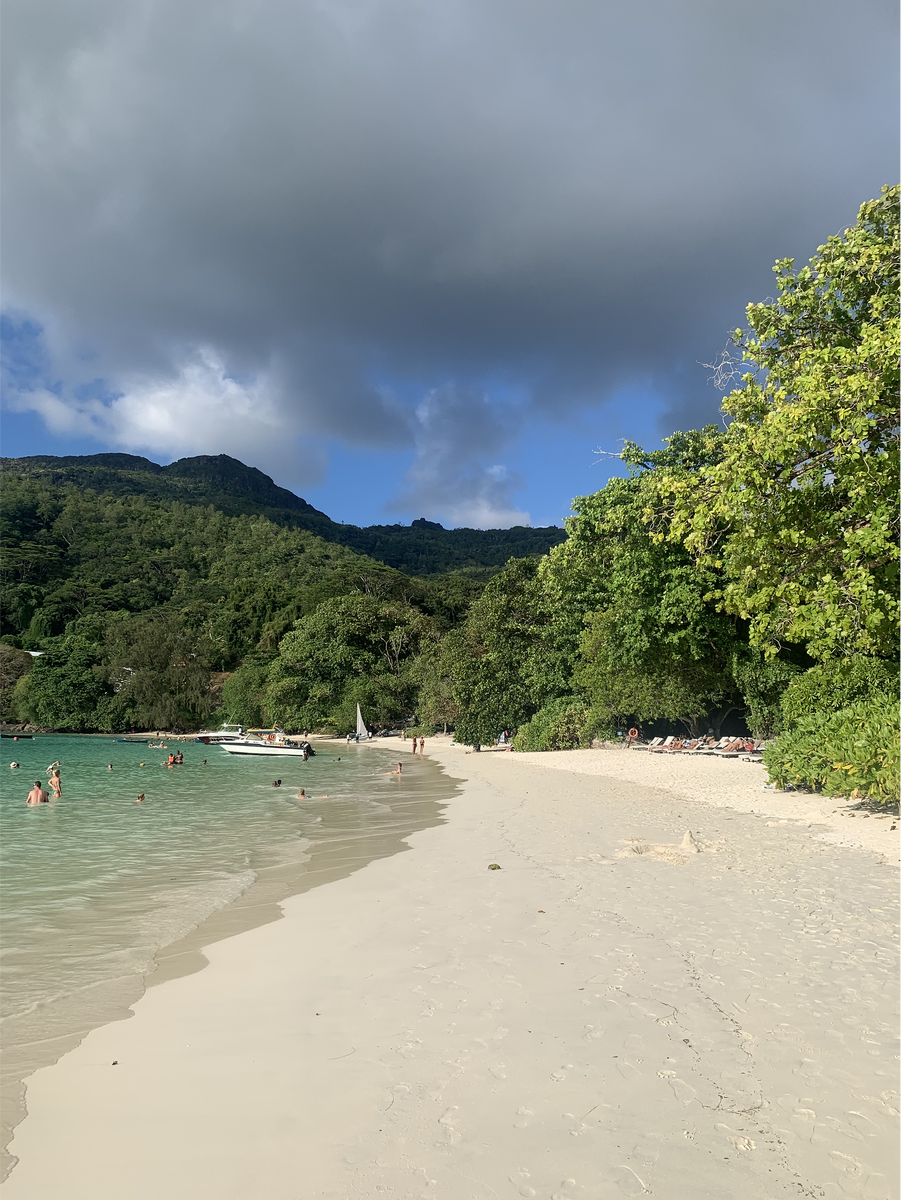 Природу Сейшельских островов нельзя назвать тропической: здесь много хвойных деревьев. Моё личное наблюдение — это одно из немногих мест, где фотографии не передадут атмосферы красоты местных пейзажей
